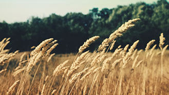 DDOS在线攻击平台